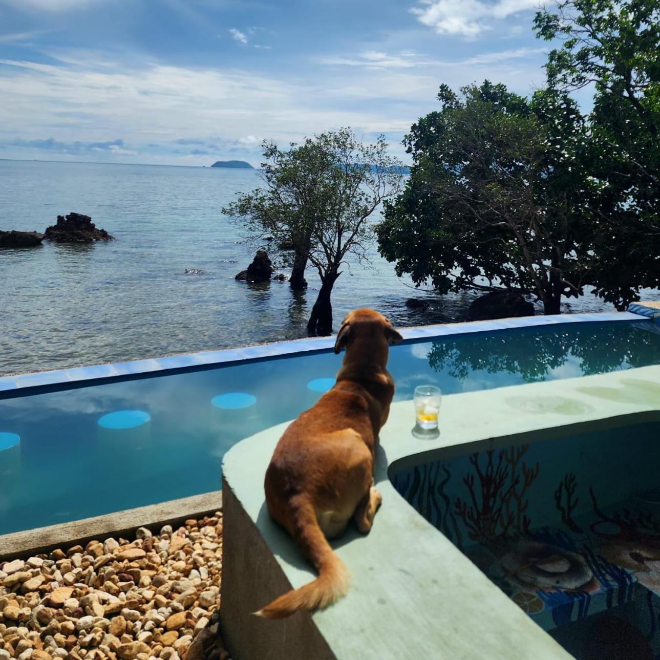 Cocovana Beach Resort (Adults Only) Busuanga Exteriör bild